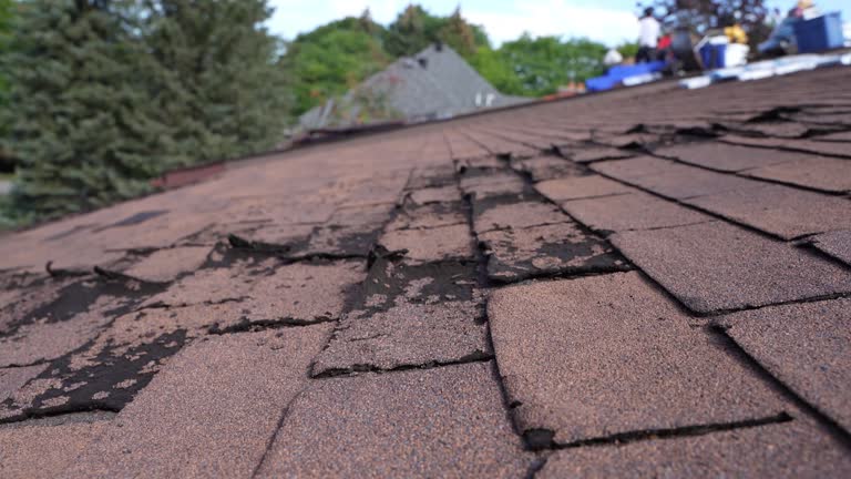 Best Roof Maintenance and Cleaning  in West Hattiesburg, MS