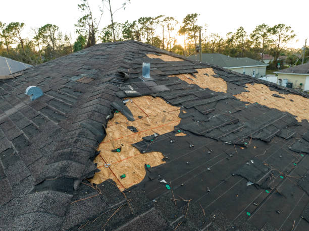 Professional Roofing Service in West Hattiesburg, MS